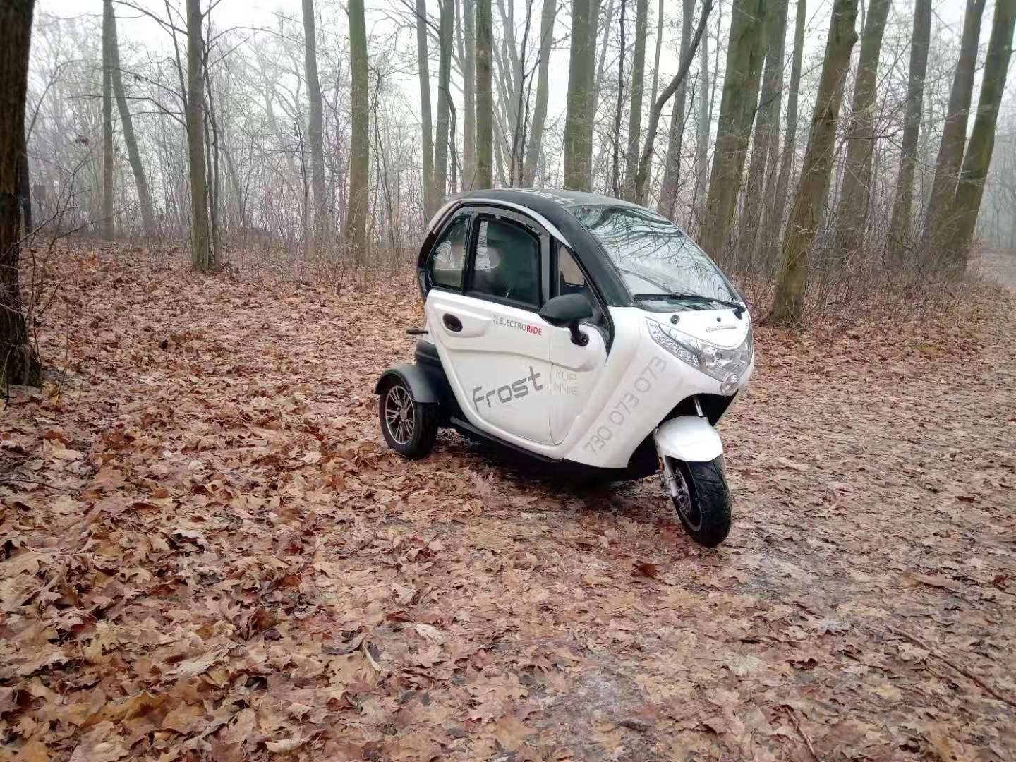 Scooter Frost Cabinato - immagine 20