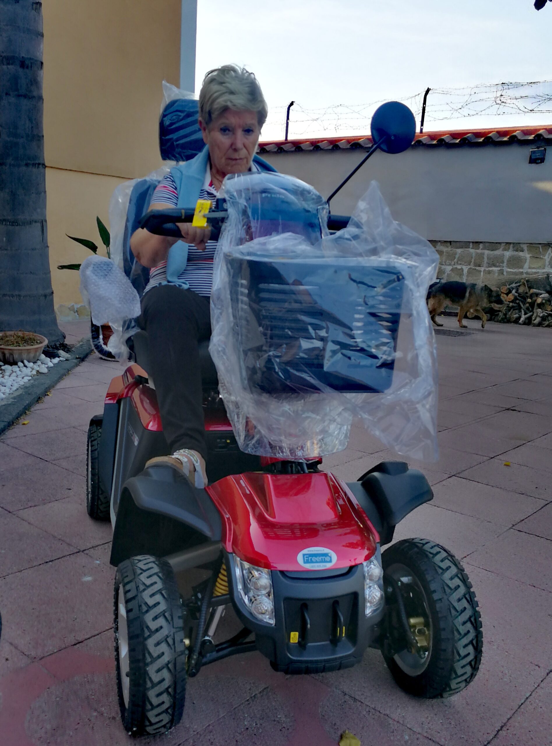 Scooter Magnifico - immagine 6